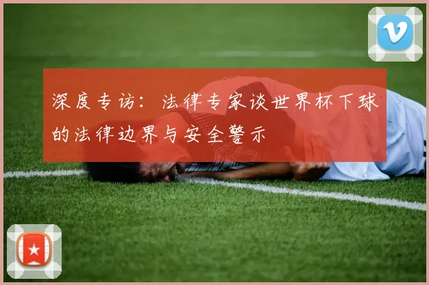 深度专访:法律专家谈世界杯下球的法律边界与安全警示