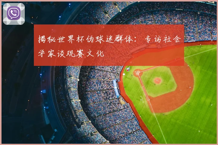 揭秘世界杯伪球迷群体:专访社会学家谈观赛文化