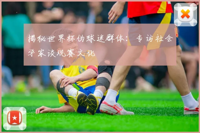 揭秘世界杯伪球迷群体:专访社会学家谈观赛文化
