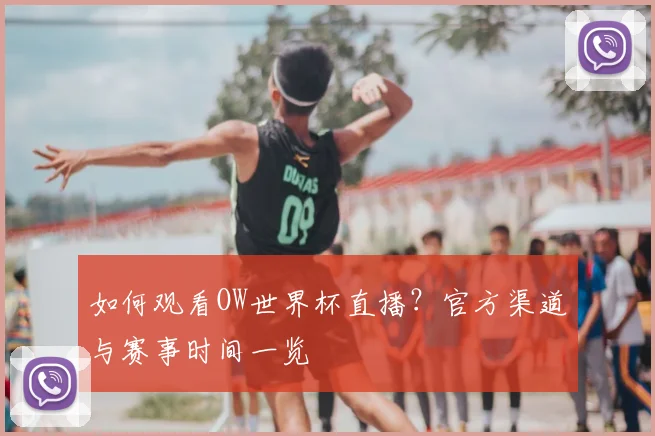 如何观看OW世界杯直播?官方渠道与赛事时间一览