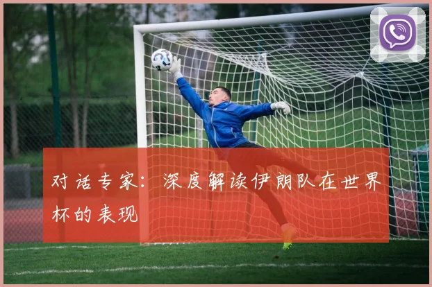对话专家：深度解读伊朗队在世界杯的表现