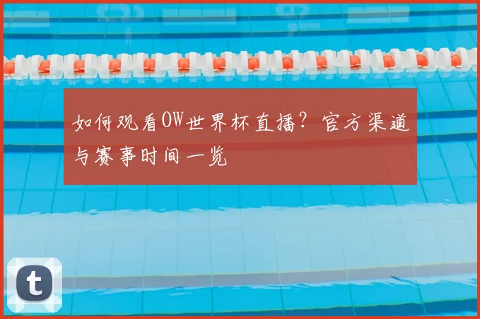 如何观看OW世界杯直播?官方渠道与赛事时间一览